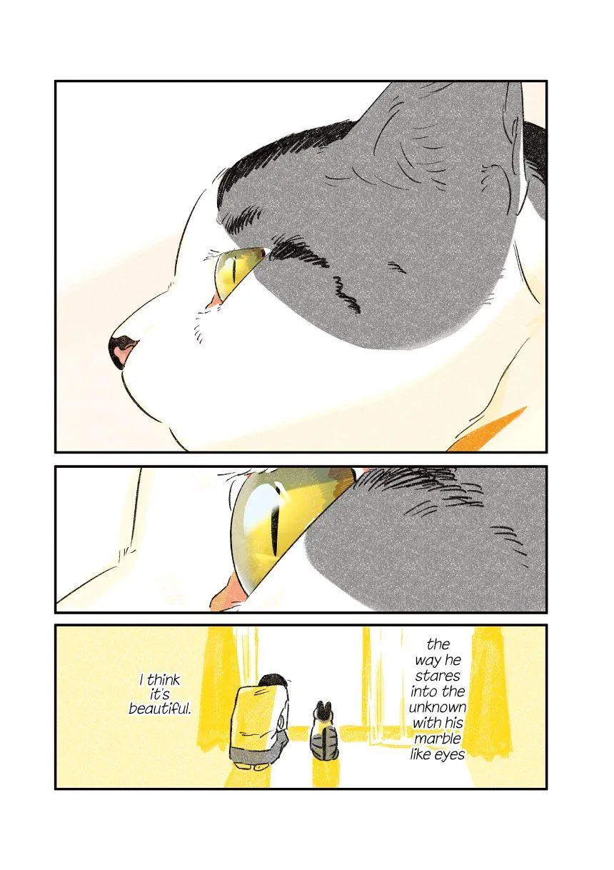 Life with a Grandpa Cat Chapter 7.3 page 3 - 