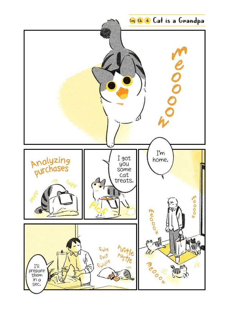 Life with a Grandpa Cat Chapter 8 page 1 - 