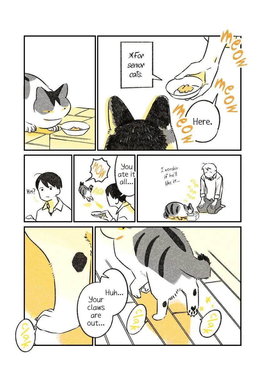 Life with a Grandpa Cat Chapter 8 page 2 - 