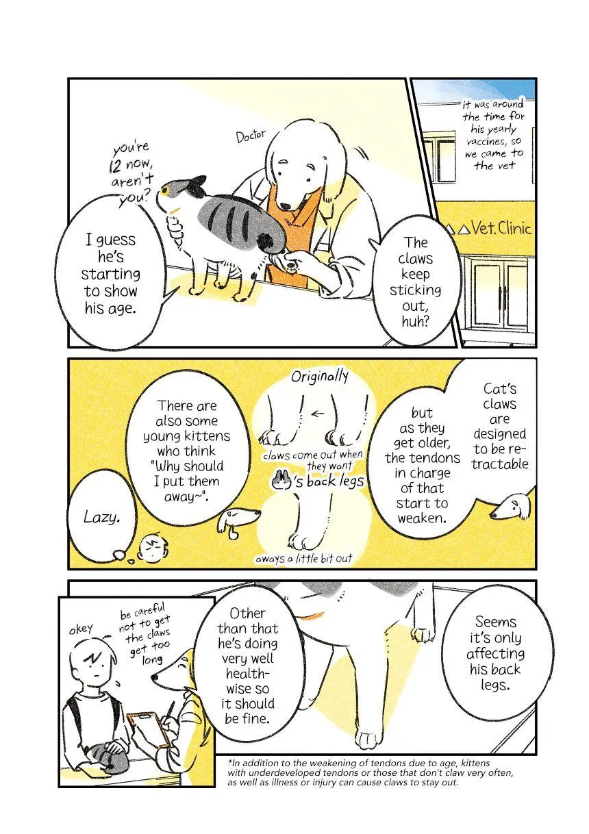 Life with a Grandpa Cat Chapter 8 page 3 - 