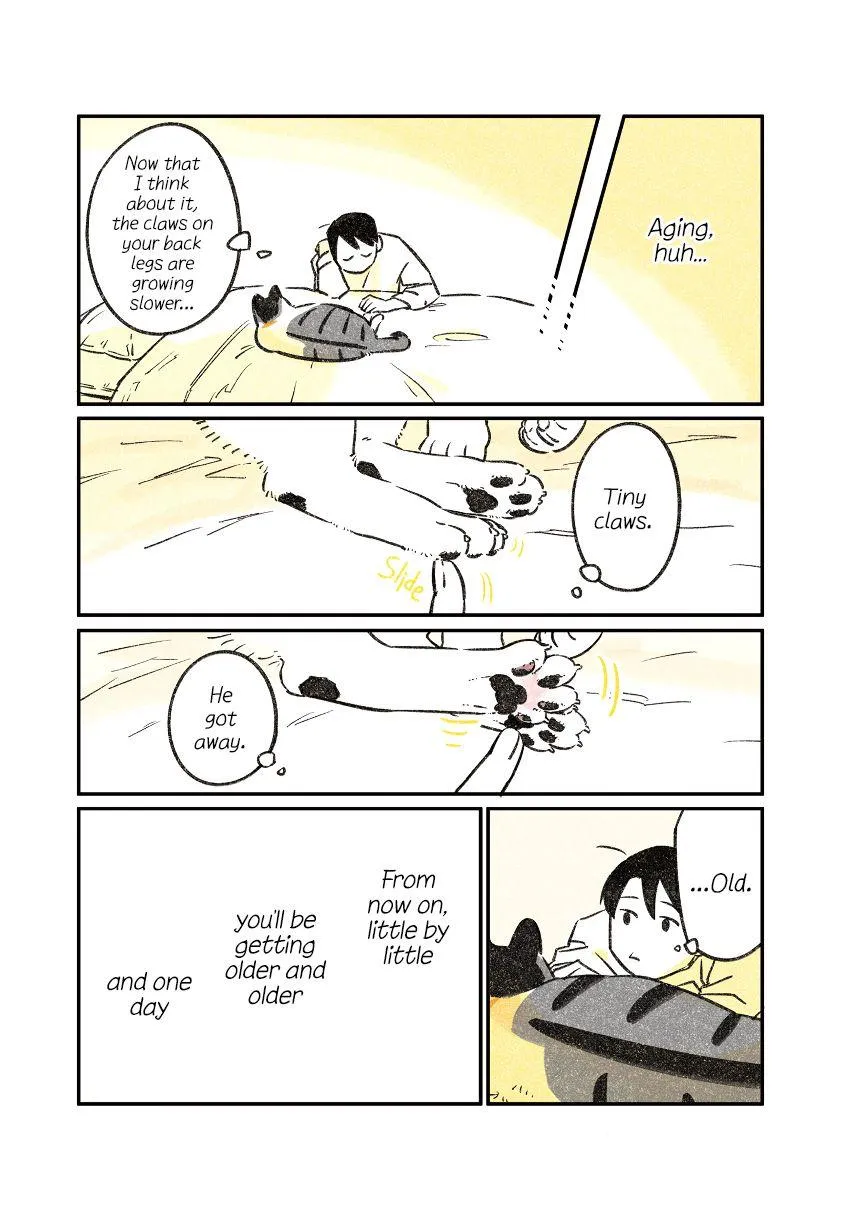Life with a Grandpa Cat Chapter 8 page 4 - 