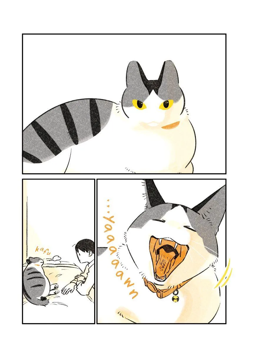 Life with a Grandpa Cat Chapter 8 page 6 - 
