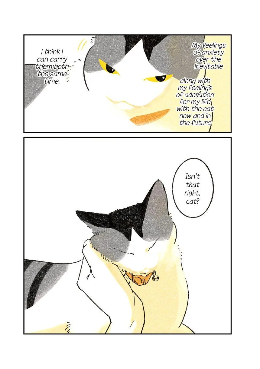Life with a Grandpa Cat Chapter 8 page 8 - 