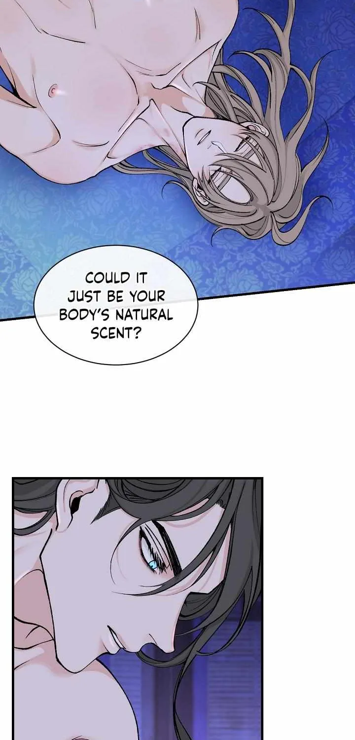Like A Fever Dream Chapter 12 page 41 - 