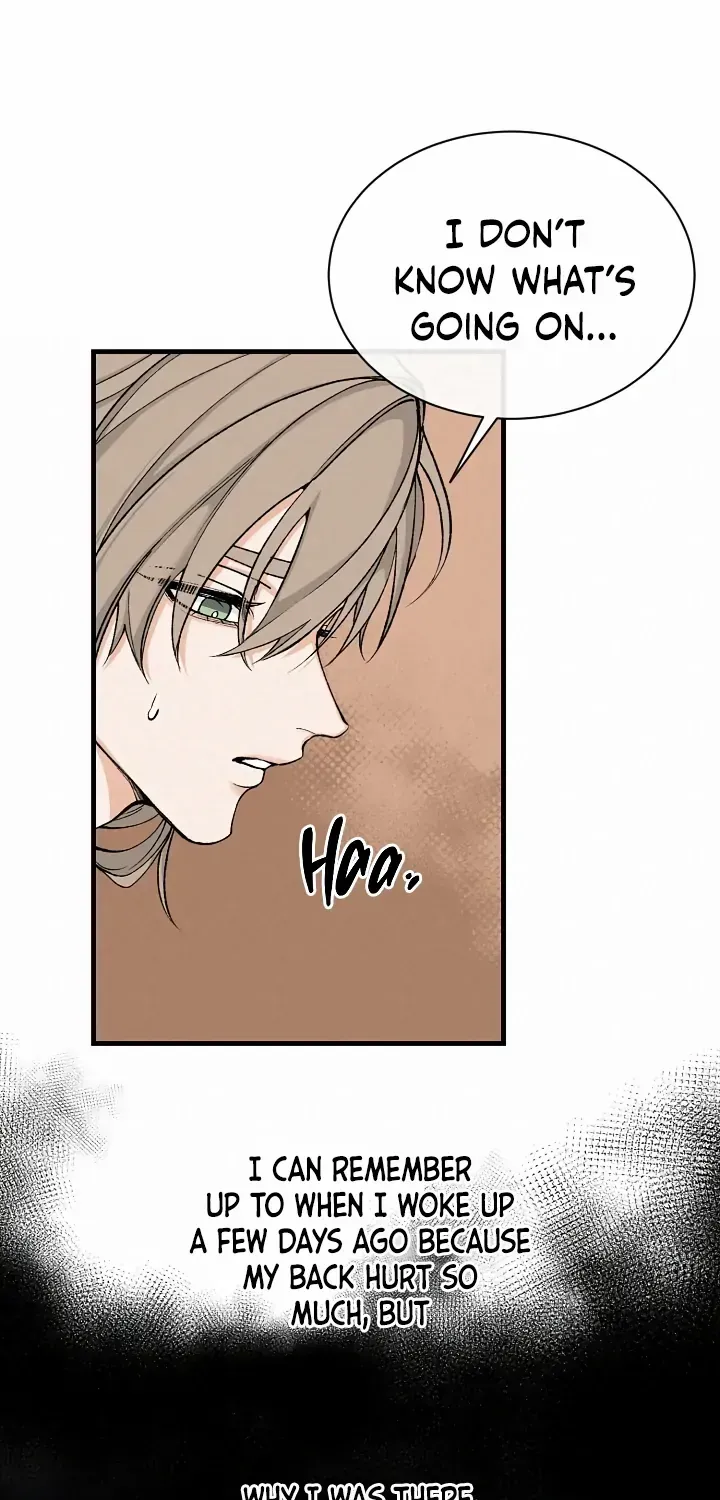 Like A Fever Dream Chapter 13 page 32 - 