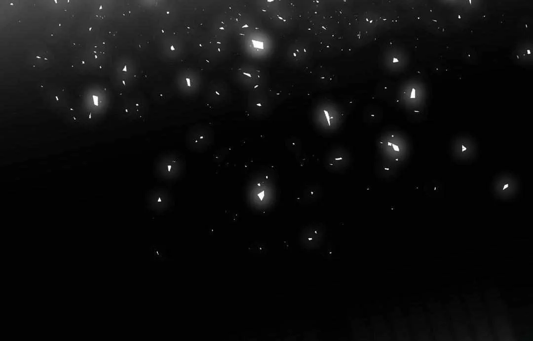 Like A Fever Dream Chapter 42 page 72 - 