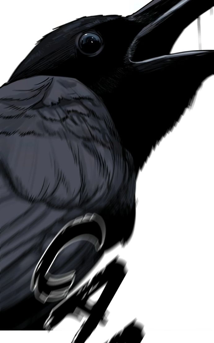 Like a Fiery Flame Chapter 52 page 126 - 