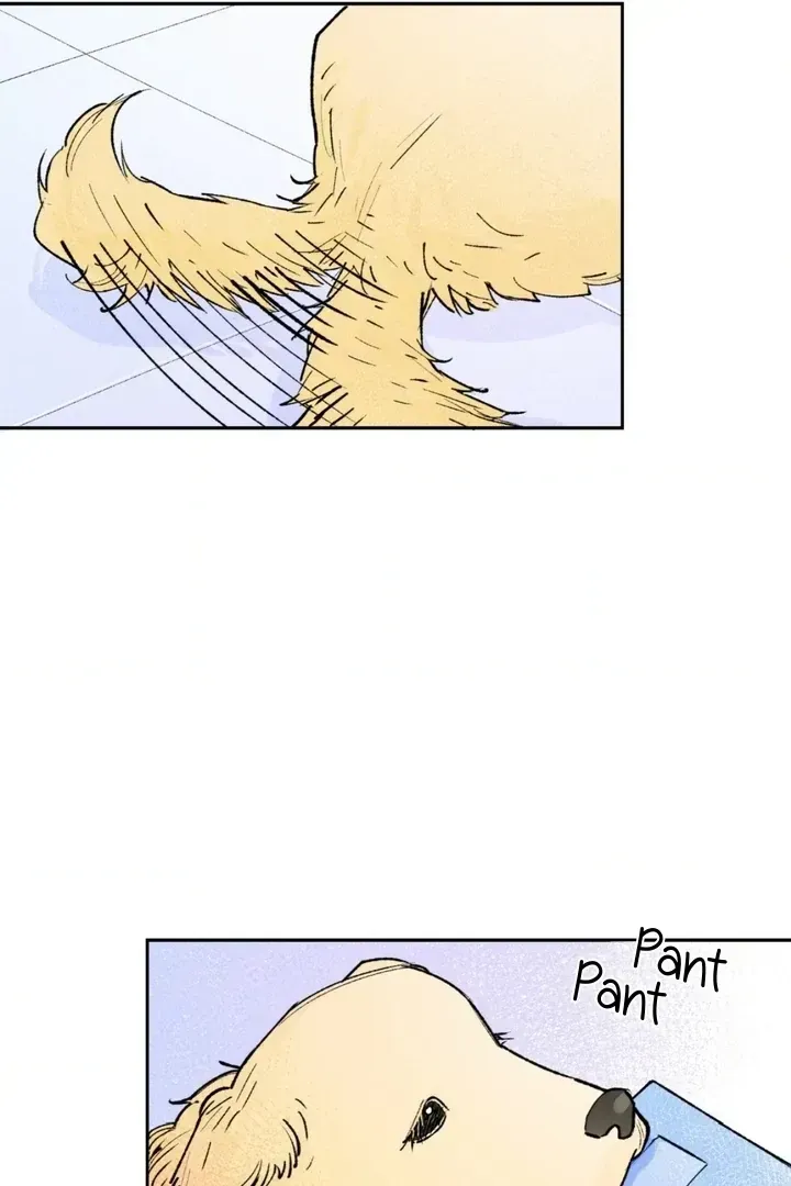 Like a Violet Chapter 1.1 page 20 - 