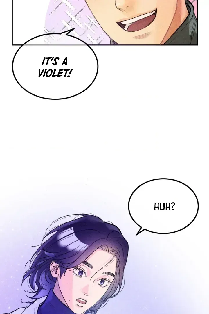 Like a Violet Chapter 1.1 page 47 - 