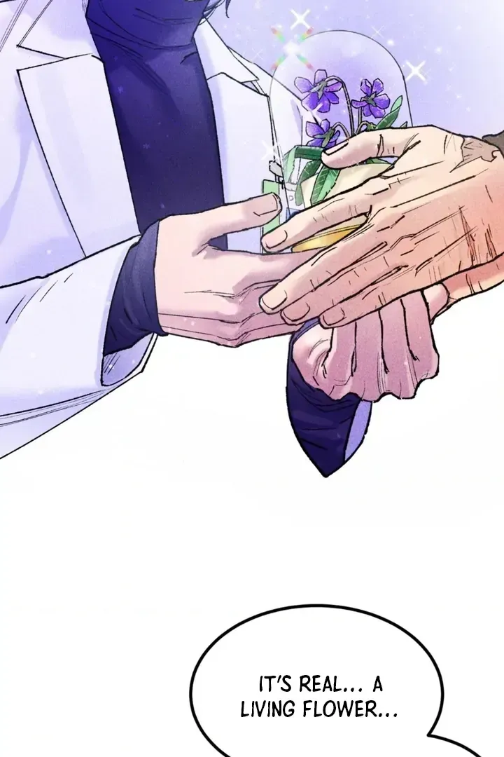 Like a Violet Chapter 1.1 page 48 - 