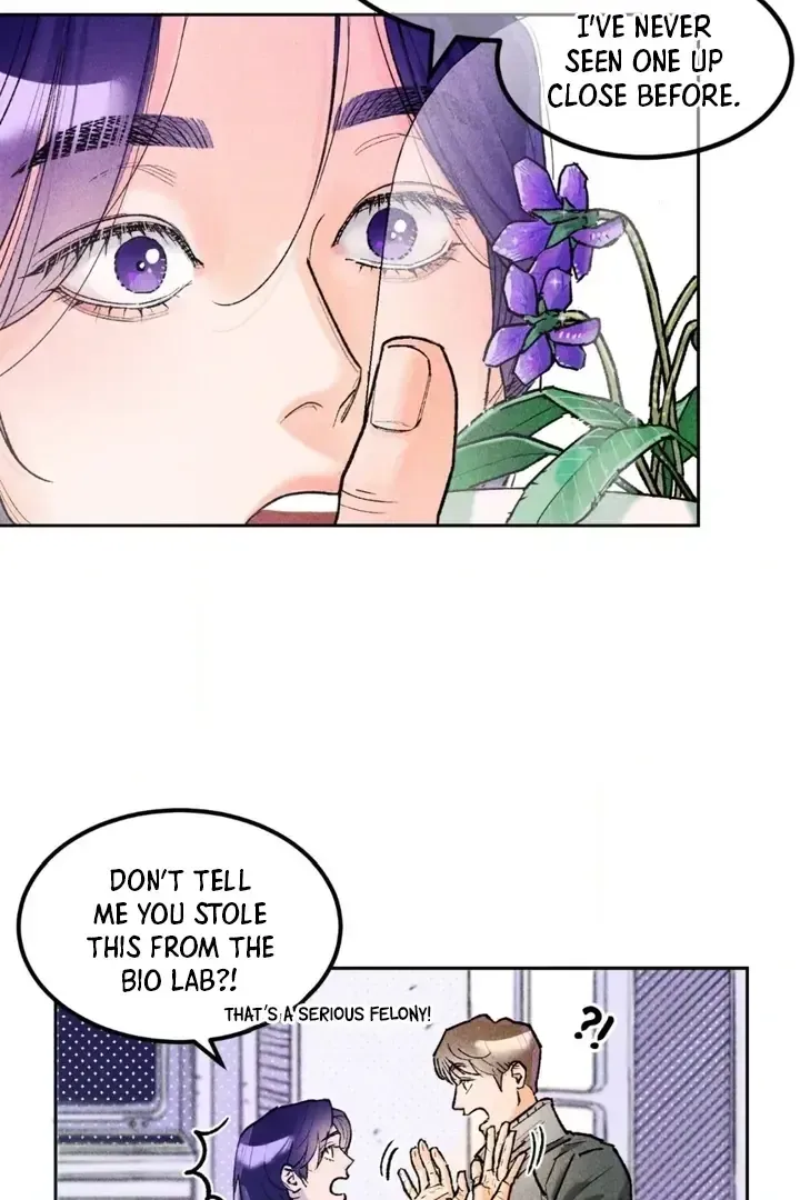 Like a Violet Chapter 1.1 page 49 - 