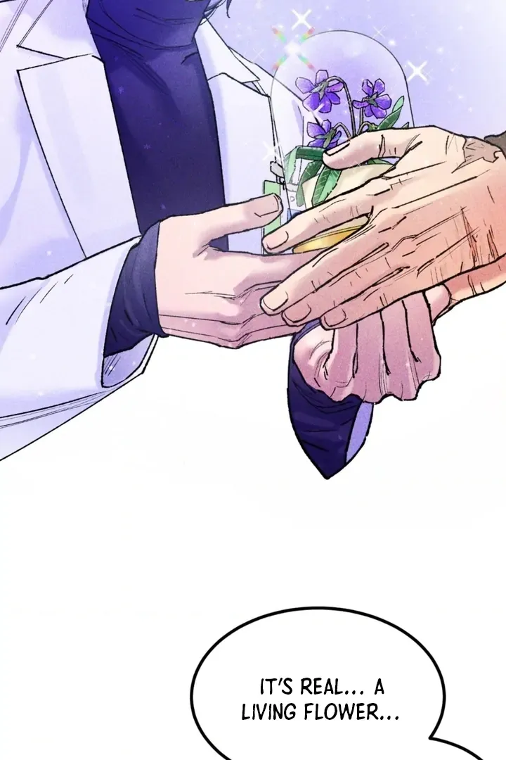 Like a Violet Chapter 1 page 48 - 