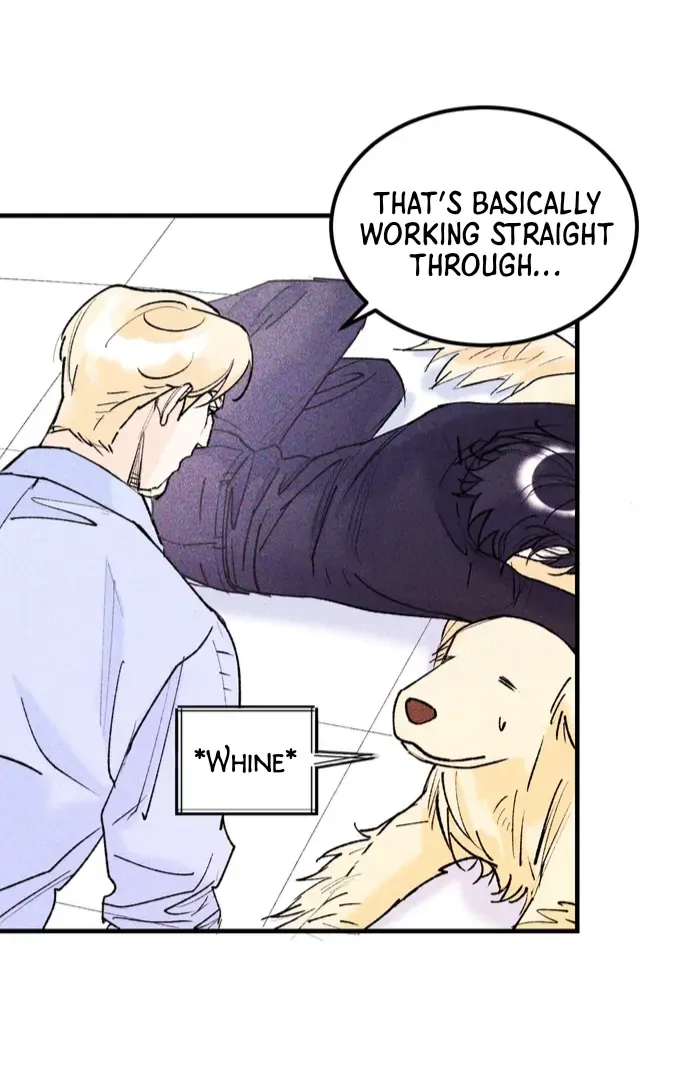 Like a Violet Chapter 10 page 17 - 
