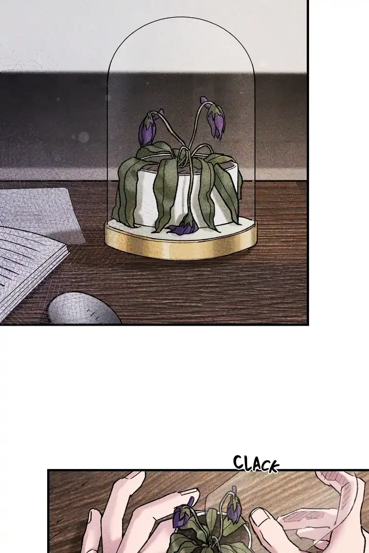 Like a Violet Chapter 3 page 42 - 