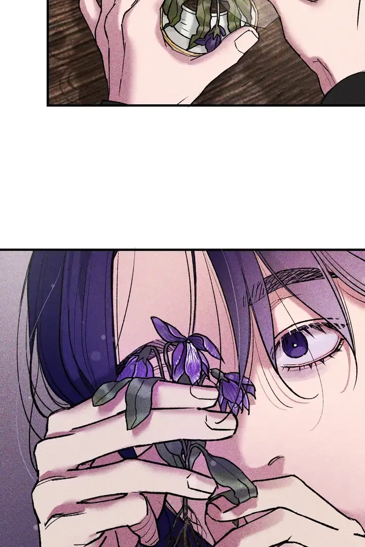 Like a Violet Chapter 3 page 43 - 