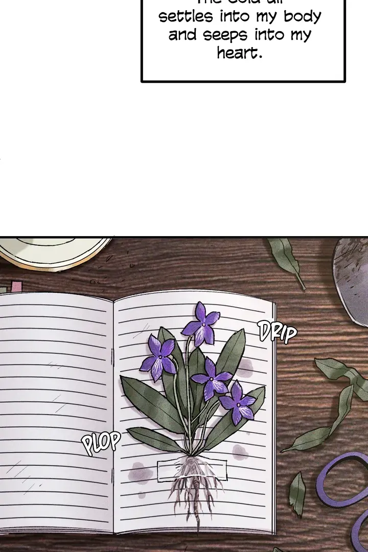 Like a Violet Chapter 3 page 45 - 