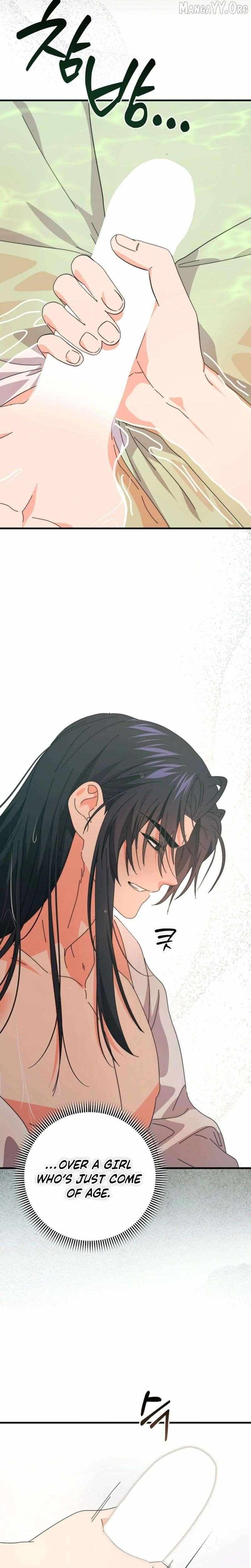Like Spring Fluttering Across the Snowy Mountains Chapter 11 page 29 - 