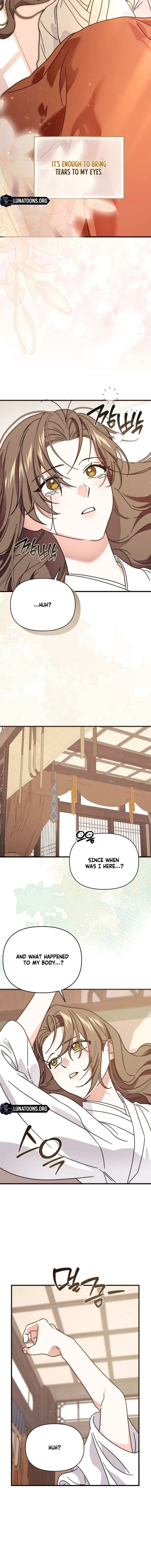 Like Spring Fluttering Across the Snowy Mountains Chapter 20 page 14 - 