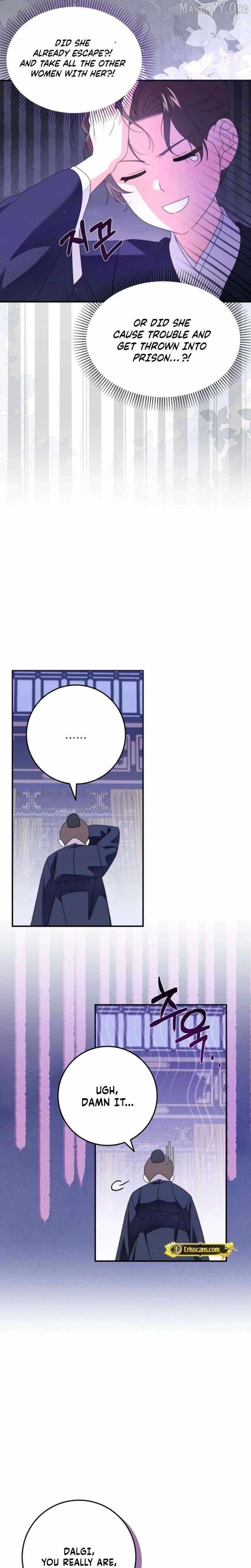Like Spring Fluttering Across the Snowy Mountains Chapter 3 page 12 - 
