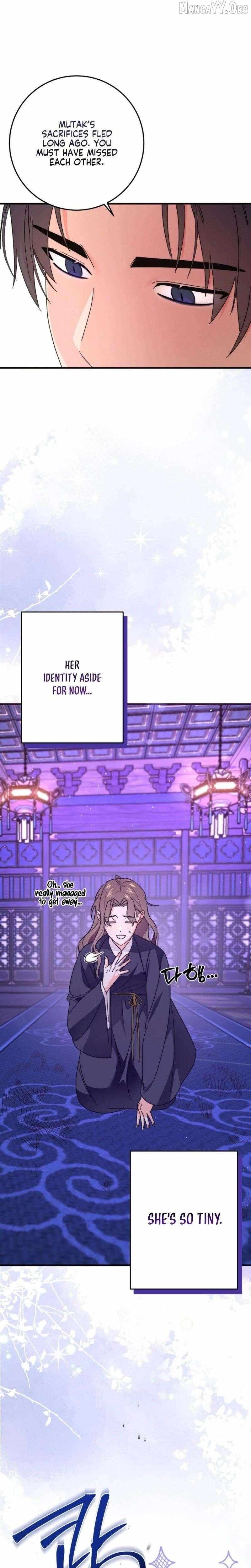 Like Spring Fluttering Across the Snowy Mountains Chapter 4 page 13 - 