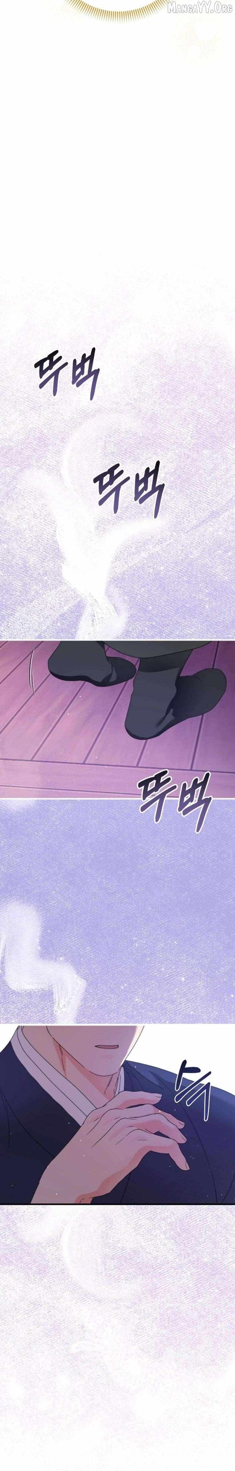 Like Spring Fluttering Across the Snowy Mountains Chapter 6 page 12 - 