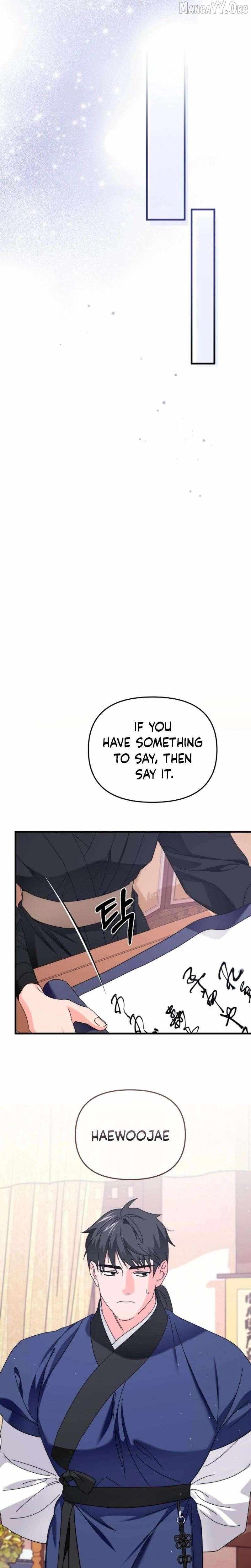 Like Spring Fluttering Across the Snowy Mountains Chapter 8 page 25 - 
