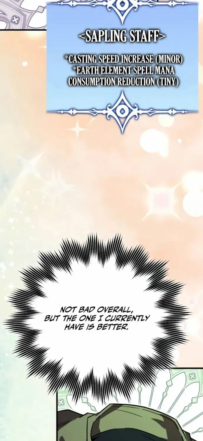 Limit-Breaking Genius Mage Chapter 17 page 45 - 