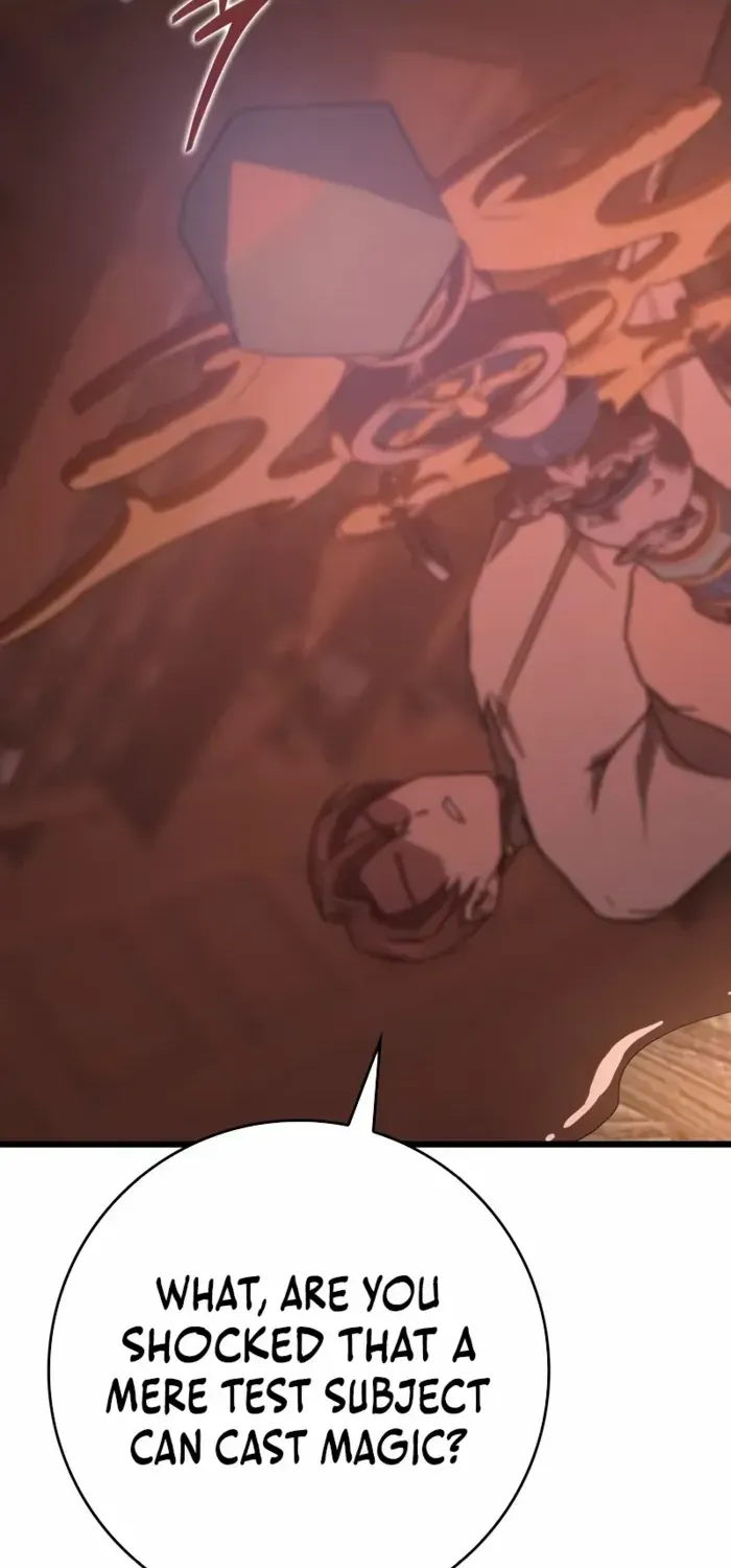 Limit-Breaking Genius Mage Chapter 2 page 127 - 