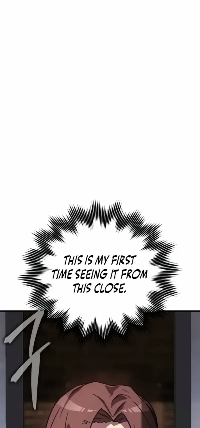Limit-Breaking Genius Mage Chapter 2 page 133 - 
