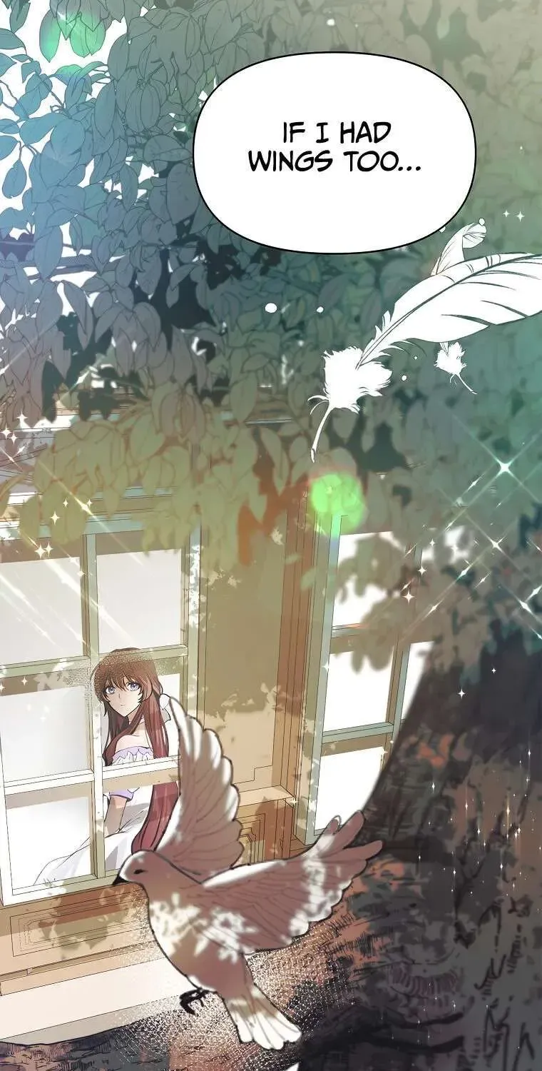 Limited Extra Time Chapter 2 page 46 - 