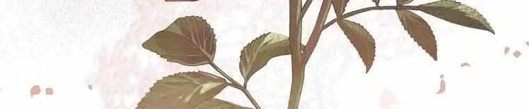 Limited Extra Time Chapter 28 page 15 - 