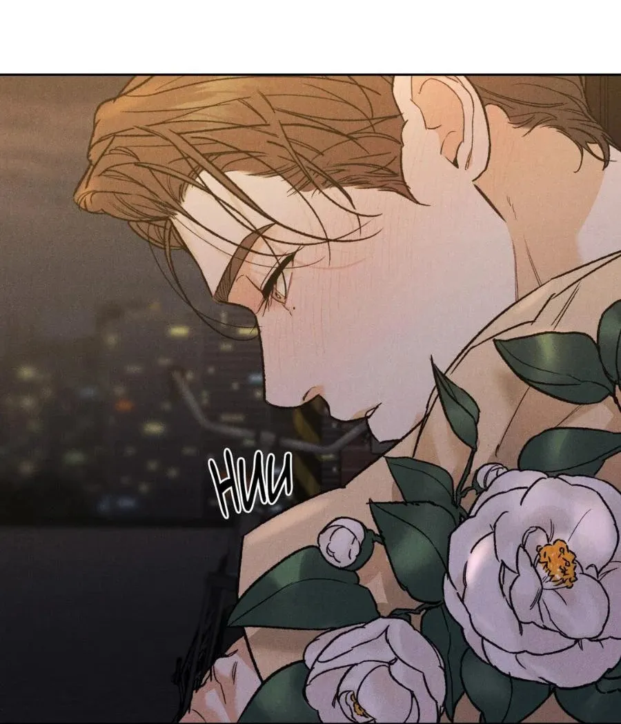 Limited Run Chapter 79 page 66 - 