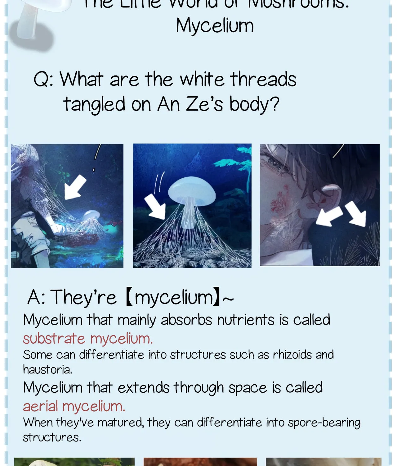 Little Mushroom Chapter 1 page 51 - 