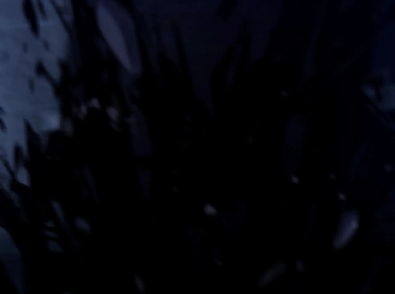 Little Mushroom Chapter 25 page 76 - 