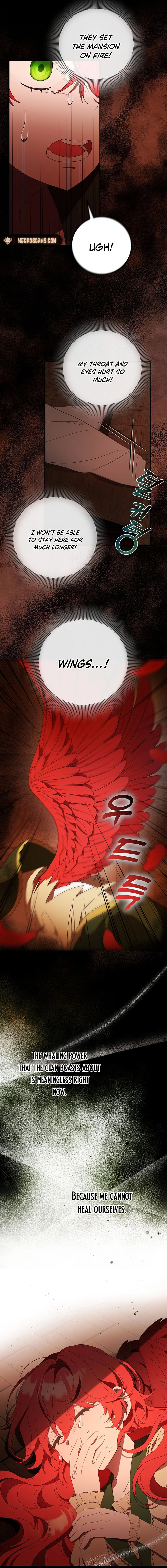 Little Red Baby Bird Chapter 1 page 13 - 
