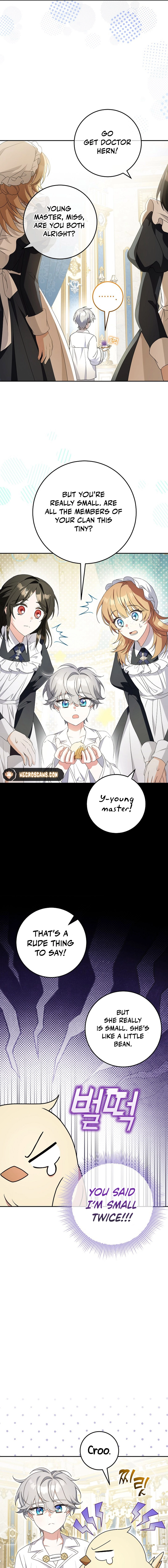 Little Red Baby Bird Chapter 12 page 3 - 