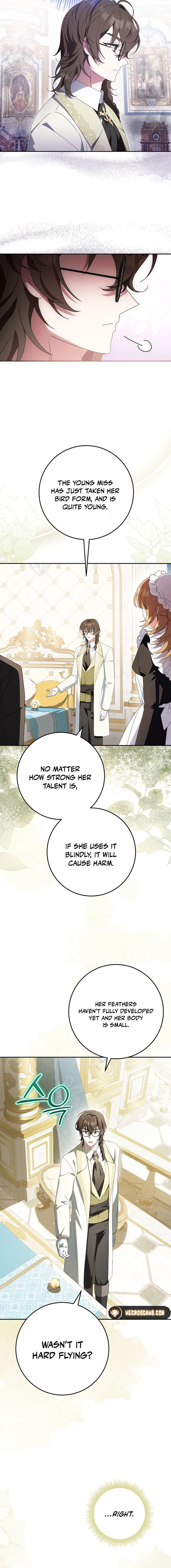 Little Red Baby Bird Chapter 13 page 2 - 