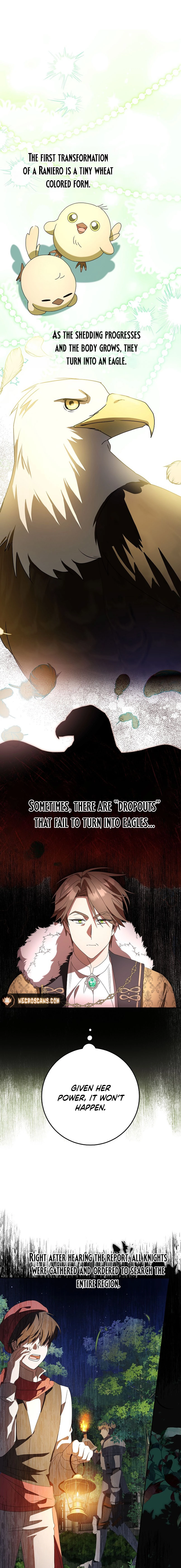 Little Red Baby Bird Chapter 13 page 15 - 