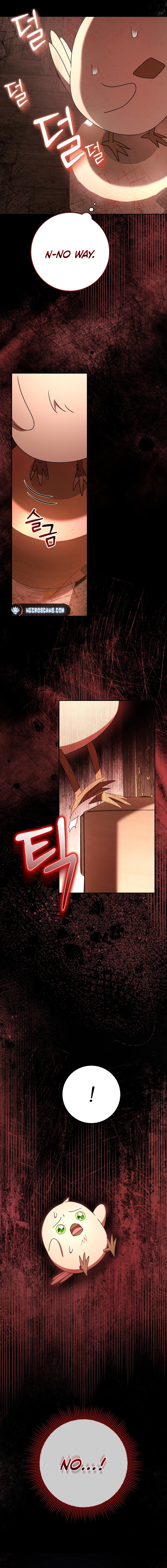 Little Red Baby Bird Chapter 16 page 13 - 