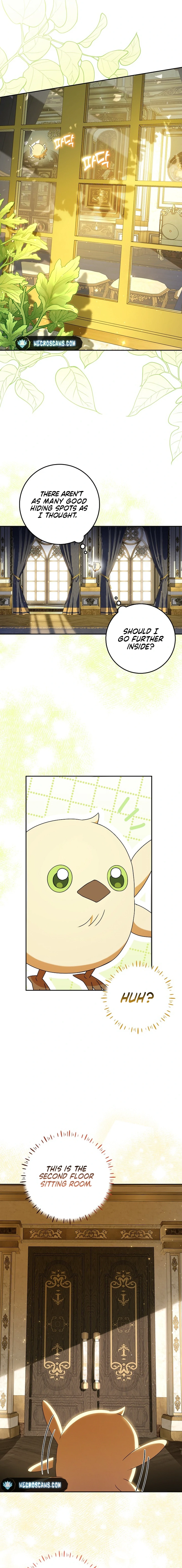 Little Red Baby Bird Chapter 16 page 7 - 