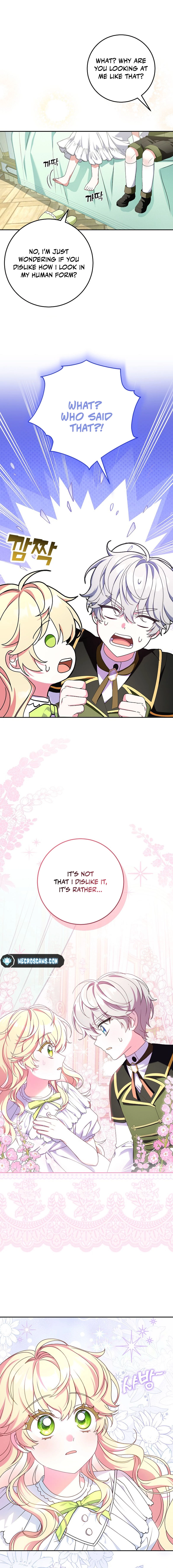 Little Red Baby Bird Chapter 18 page 3 - 