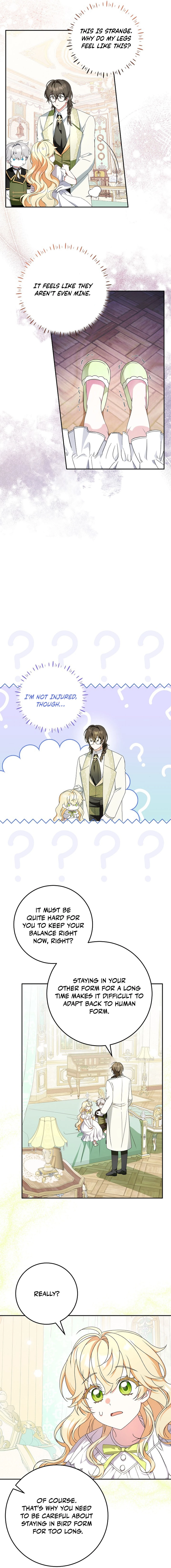 Little Red Baby Bird Chapter 18 page 9 - 