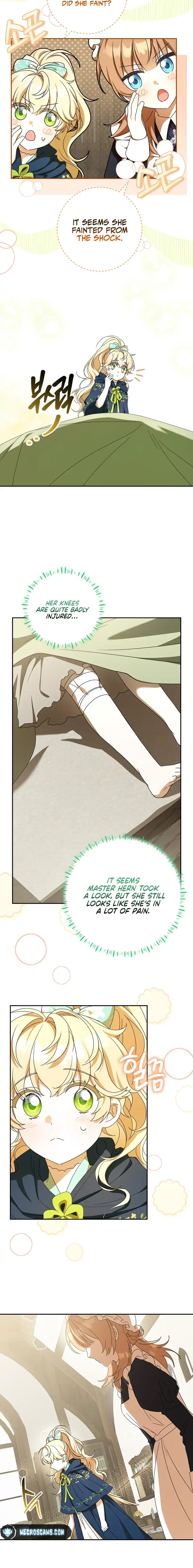 Little Red Baby Bird Chapter 35 page 13 - 