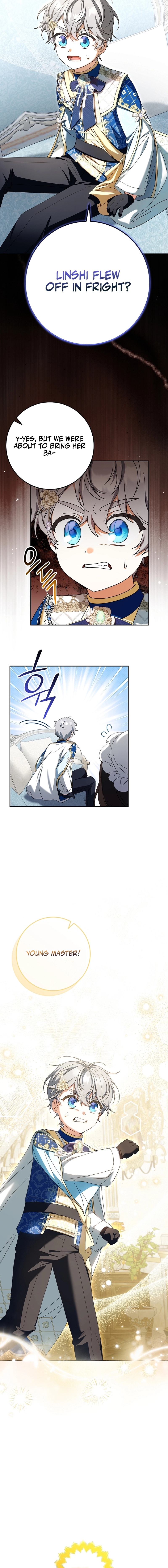 Little Red Baby Bird Chapter 42 page 14 - 