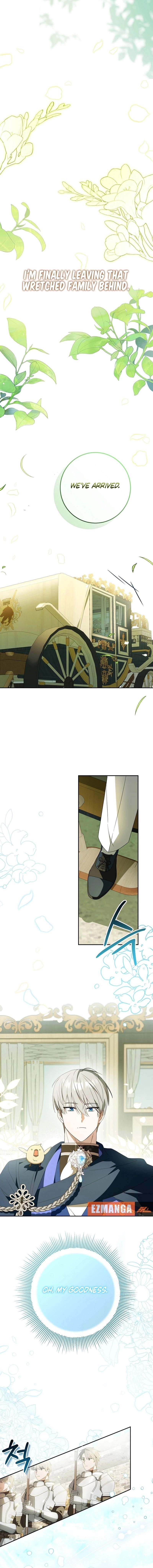 Little Red Baby Bird Chapter 5 page 11 - 