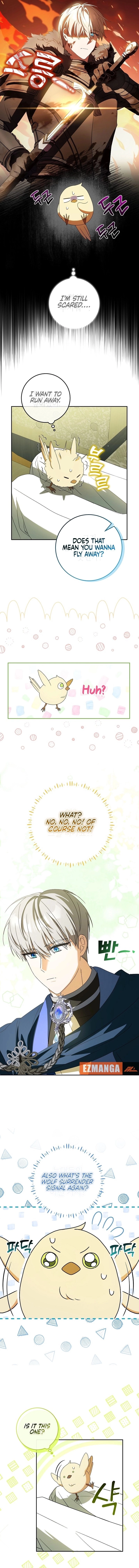 Little Red Baby Bird Chapter 5 page 7 - 
