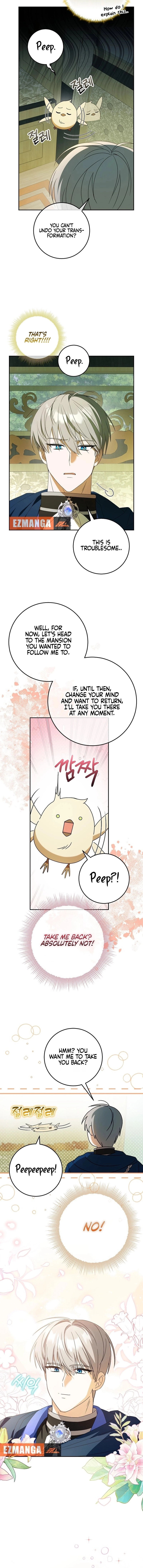 Little Red Baby Bird Chapter 5 page 9 - 
