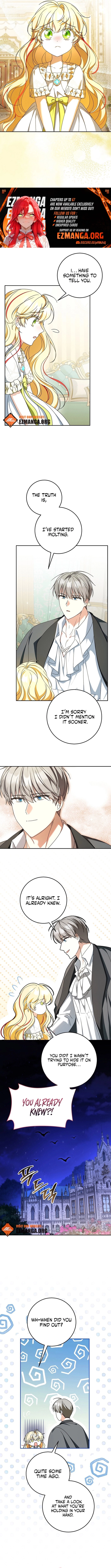 Little Red Baby Bird Chapter 59 page 5 - 