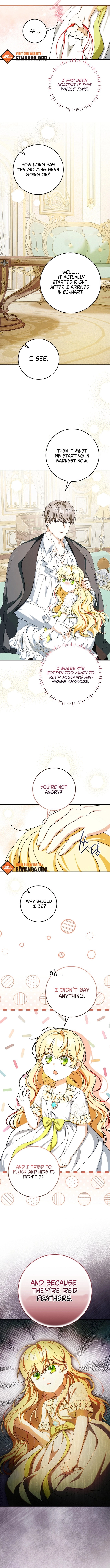 Little Red Baby Bird Chapter 59 page 6 - 
