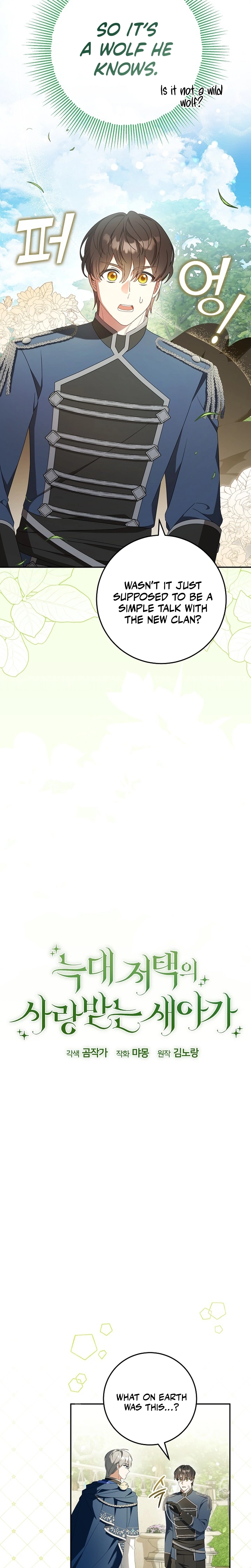 Little Red Baby Bird Chapter 6 page 5 - 